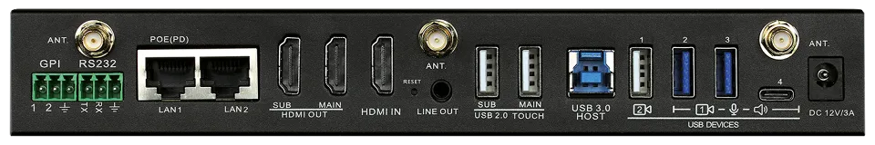 Wizard 4U2 Back.webp