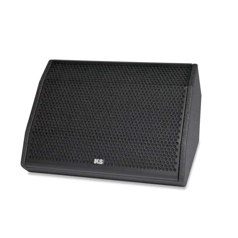 [D029076] KS-Audio, C-2M - 12"/1.75" High output Stage monitor 90°x40° 