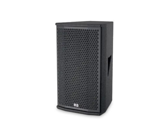 [D029017] KS-Audio, C-10 - 10"/3" HDSP™ technology loudspeaker
