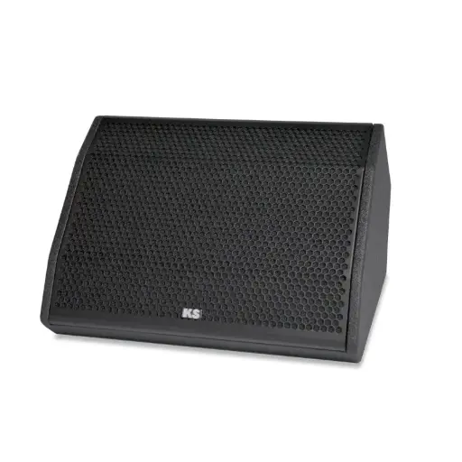 [D029076] KS-Audio, C-2M - 12"/1.75" High output Stage monitor 90°x40° 