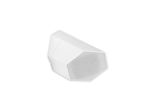 [D036287] Cloud, CS-S3W - Ceiling Speaker Surface Mount 3 inch